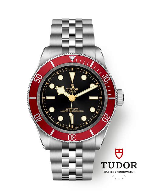 tudor wa|tudor black bay watch.